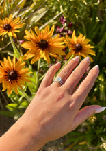 Load image into Gallery viewer, Sterling Silver Moonstone Ring