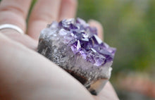 Load image into Gallery viewer, Small Amethyst Cluster