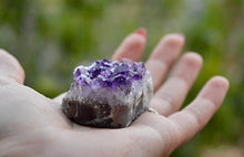 Load image into Gallery viewer, Small Amethyst Cluster