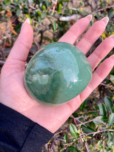 Aventurine Palm Stone