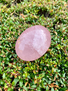 Rose Quartz Palm Stone