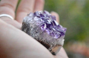 Small Amethyst Cluster