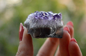 Small Amethyst Cluster