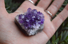 Load image into Gallery viewer, Small Amethyst Cluster
