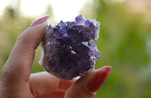 Load image into Gallery viewer, Small Amethyst Cluster
