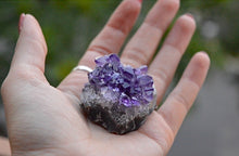 Load image into Gallery viewer, Small Amethyst Cluster
