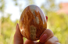 Load image into Gallery viewer, Green and Brown Onyx Egg
